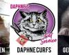 Daphne's Cat Service