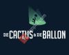 De Cactus & de Ballon