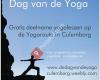 De dag van de yoga 2019