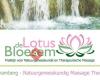 De Lotus Bloesem Praktijk voor Natuurgeneeskunde en Therapeutische massage