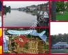 De Meerkoet, Lisserbroek
