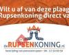 De Rupsenkoning