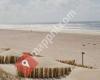 De Schelpsuite