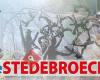 De Stedebroecer