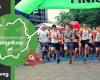 De Woerdense Singelloop