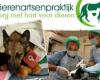 Dierenartsenpraktijk Maarssen