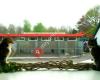 Dierenpension Drachten