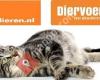 Diervoeronline.nl & Voervoordieren.nl