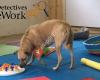 Dog Detectives FreeWork