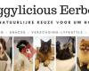 Doggylicious Eerbeek - Trimsalon & Honden Speciaalzaak