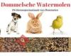 Dommelsche Watermolen