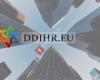 Doughnut Dynamics International HR- DDIHR