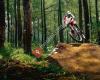 Downhill Mountainbike Gear, Clothing and Accessories by Downhill