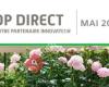 DP Direct