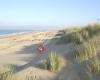 Duinlodges Texel