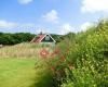 Duinrand Texel Vakantiehuizen
