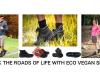 eco-vegan-shoes.com