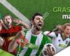 Edel Grass BV - Sports & Landscaping Grass