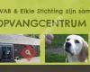 Elkie stichting