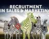 Employity - Recruitment in Sales, Marketing en Online Marketing
