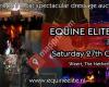 Equine Elite the Auction