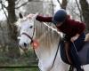 Equistolt - Horsemanship through feel and balance