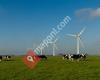 EWT - Emergya Wind Technologies