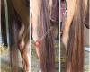 Extensions voor paarden