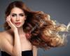 Extensions Zetten Hattem