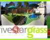 Fivestargrass