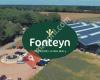 Fonteyn