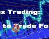 Forex trading club