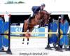 Fred van Straaten Sport Stables
