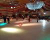Friends on Ice - Ede