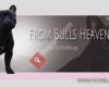 From Bulls Heaven, Franse Bulldog Kennel
