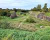 Frontenpark