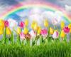 Gastouder de Regenboog