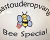 Gastouderopvang Bee Special