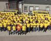 Gebr. Janssen BV