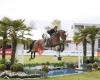 Gerrit Veenstra - Sport and Breeding Horses