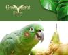 Greenparrotshop