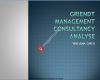 Griendt Management Consultancy Analyse