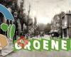 Groenelaan