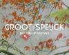 Groot Speijck