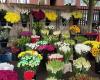 Haagse Markt