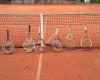 Halsterse Tennis Vereniging