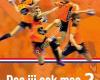 Handbal vereniging Actief Paterswolde