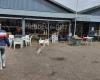 Hebbes - Kringloopwinkel