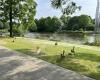 Henri Dunantpark