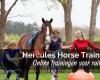 Hercules Horse Training